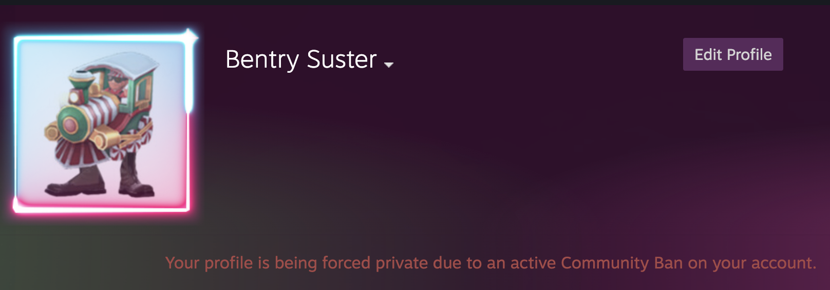 Got banned from steam community forums lol