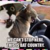 ScrapTF  Bat-Country