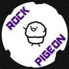 RockPigeon